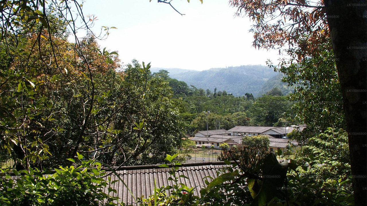 Kothmale Ferienbungalow, Kothmale