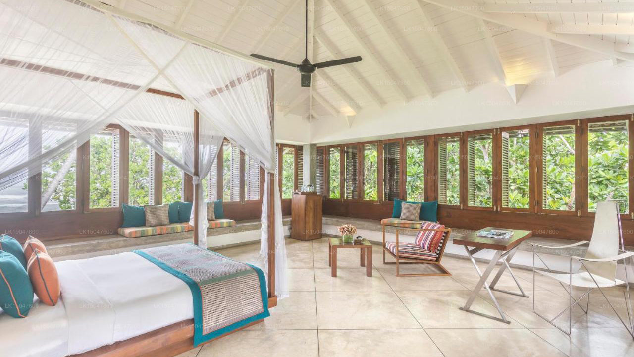 Der Frangipani-Baum, Talpe