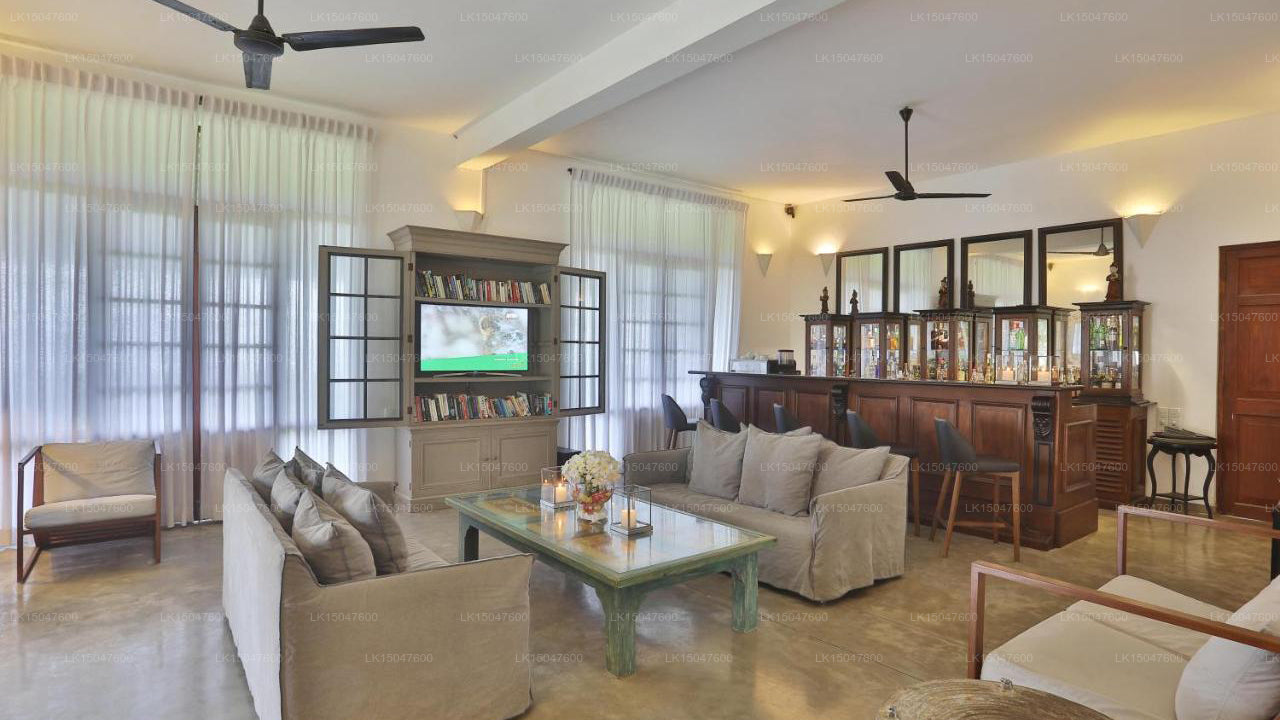 Der Frangipani-Baum, Talpe