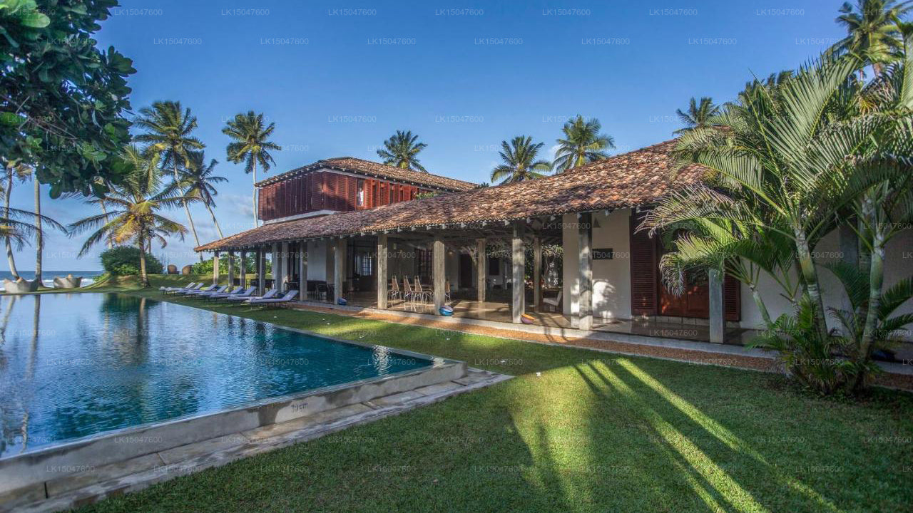 Der Frangipani-Baum, Talpe