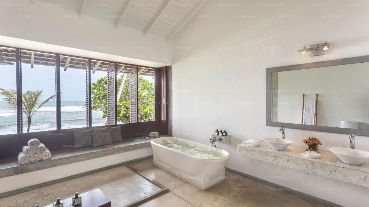 Der Frangipani-Baum, Talpe