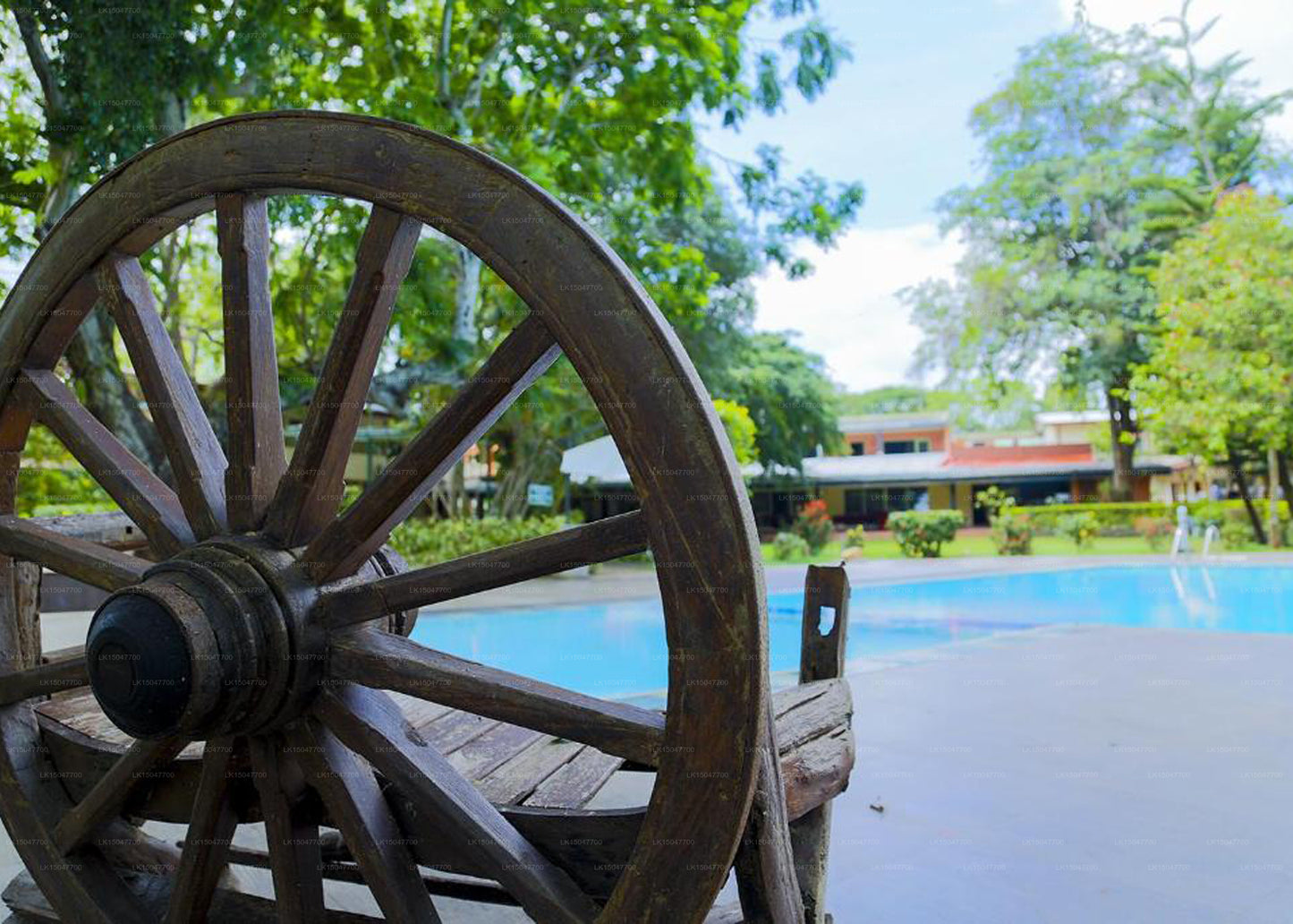 Miridiya Lake Resort, Anuradhapura 