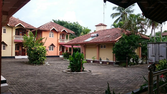 Rani Feriendorf, Negombo