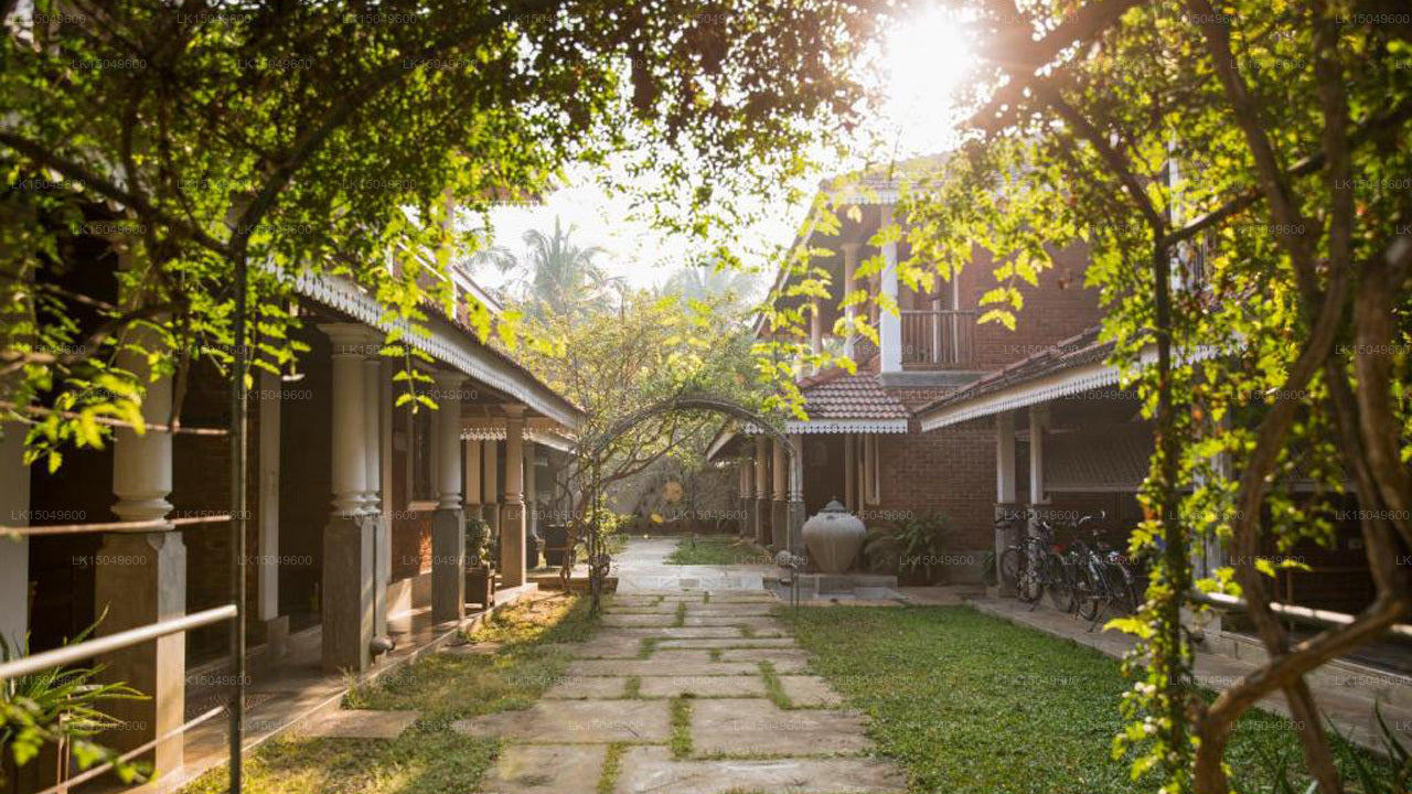Villa Araliya, Negombo