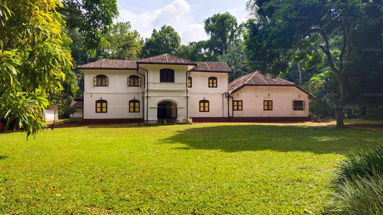 Elpitiya Walauwa, Gampola 