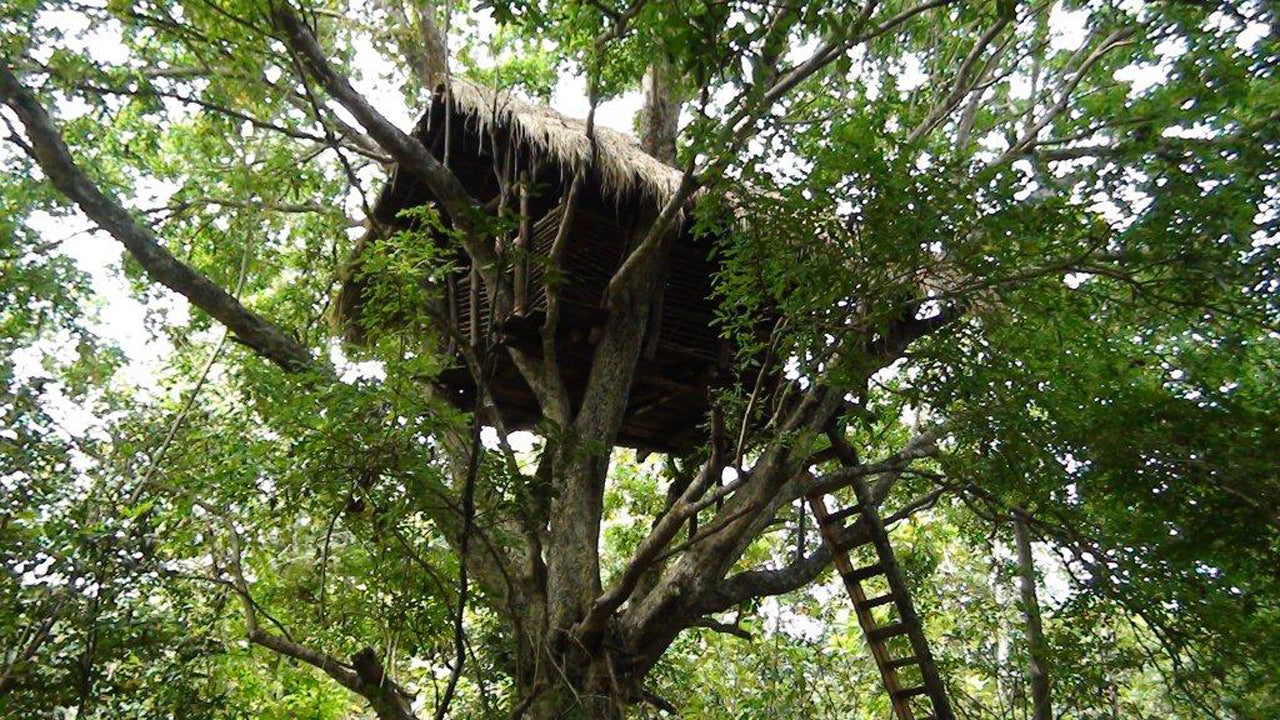 Wasgamuwa Safari Sri Lanka - Ferienbungalows