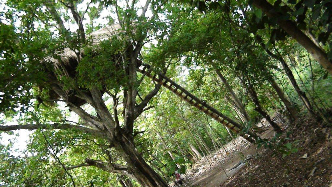 Wasgamuwa Safari Sri Lanka - Ferienbungalows