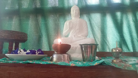 Madushani Ayurveda Spa, Mirissa 