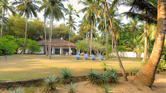 Das Strandhaus, Tangalle