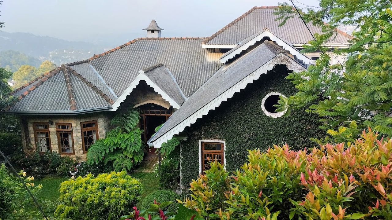 Der Pflanzerbungalow