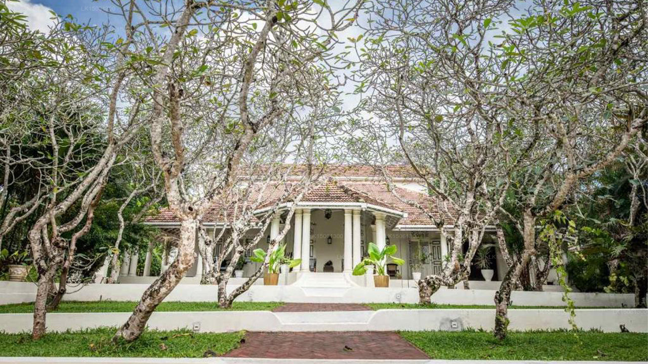 Das Sonnenhaus, Galle 