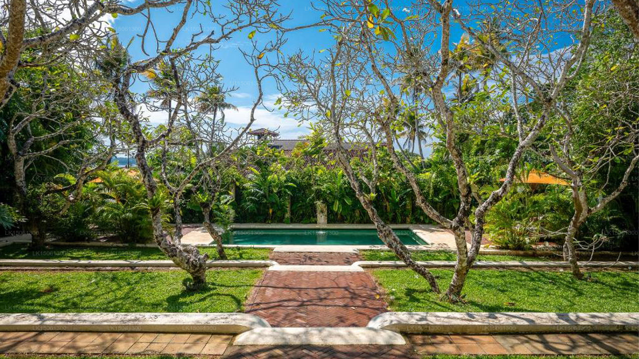 Das Sonnenhaus, Galle 