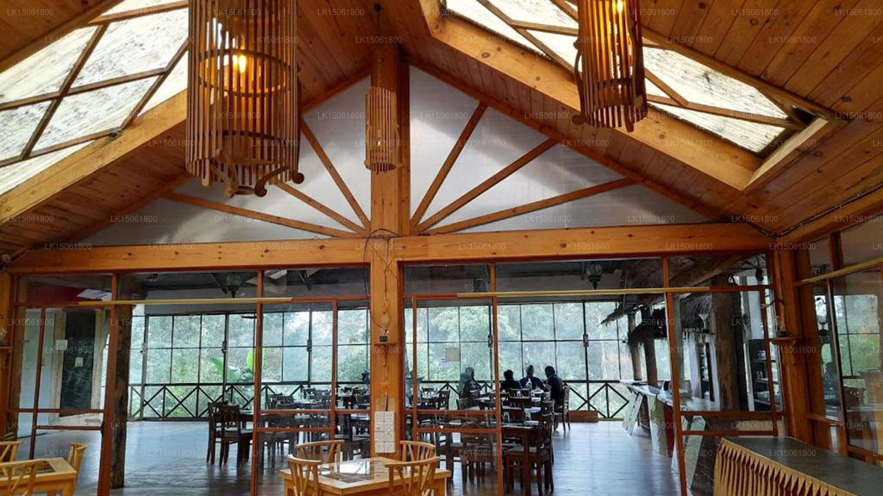 King Fern Cottage, Nuwara Eliya 