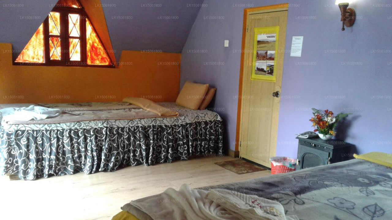King Fern Cottage, Nuwara Eliya 