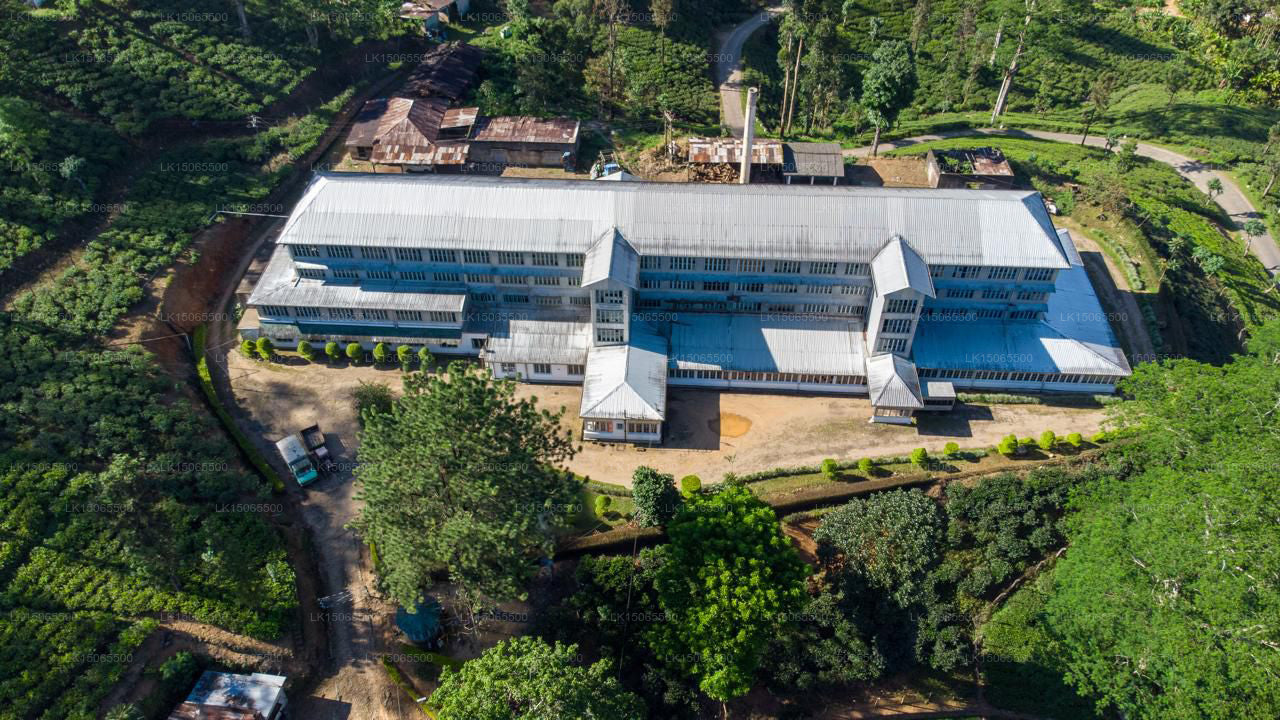 Hynford-Bungalow, Nawalapitiya