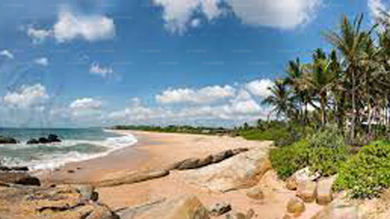 Turtle Bay, Kalamatiya 