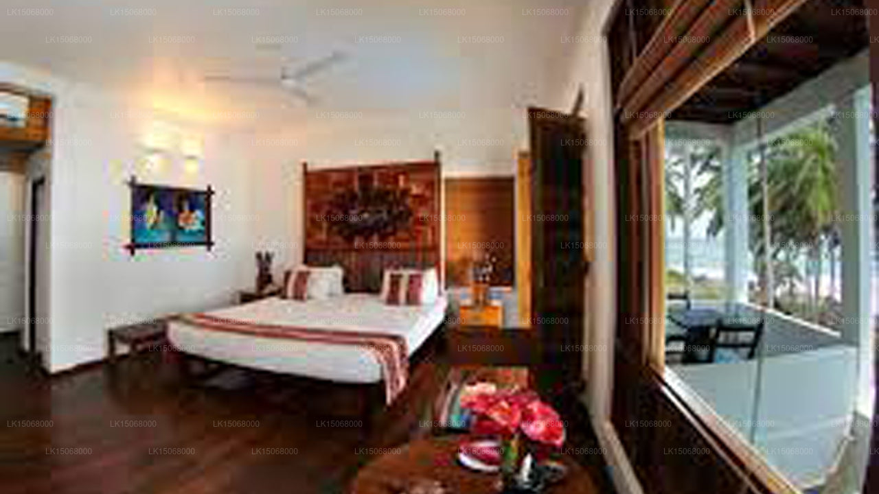 Turtle Bay, Kalamatiya 