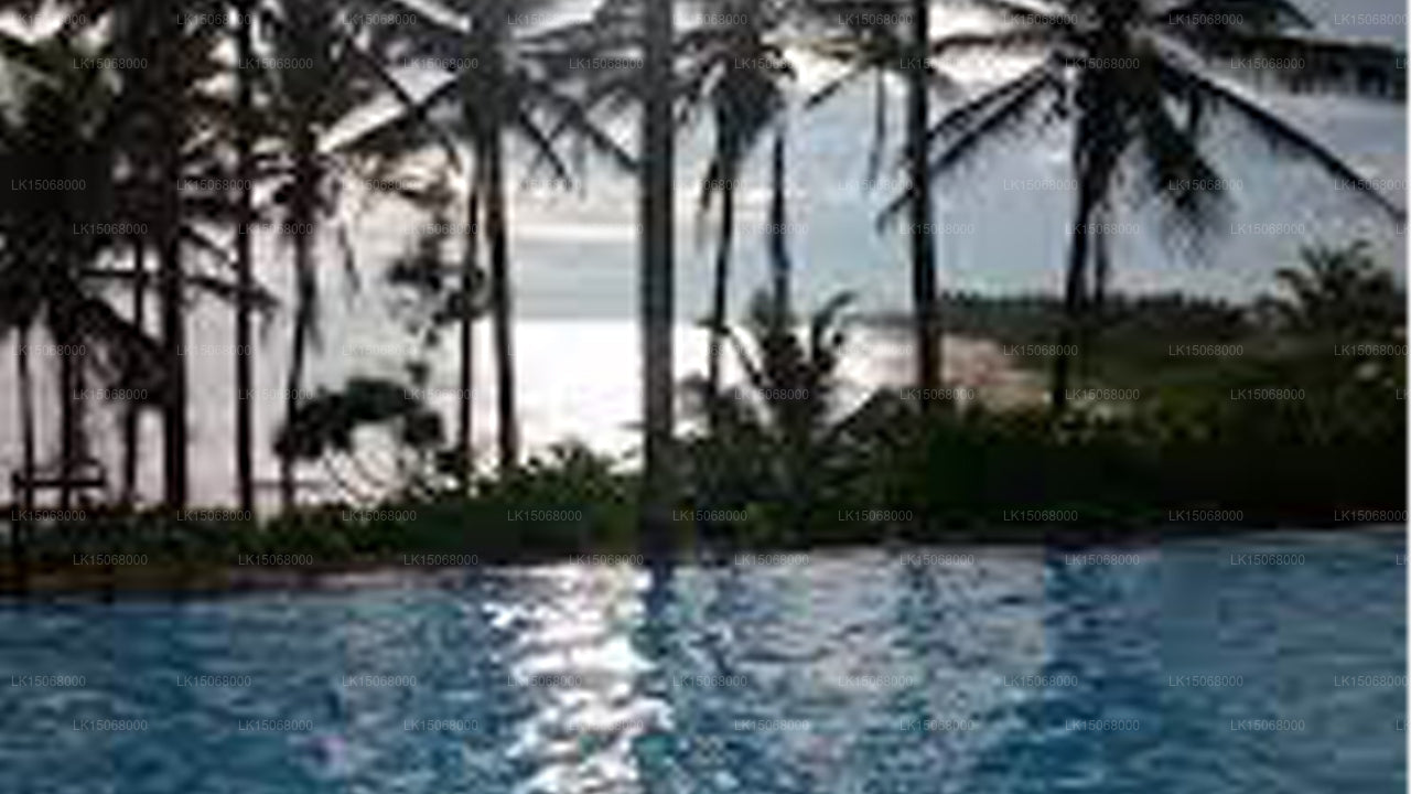 Turtle Bay, Kalamatiya 