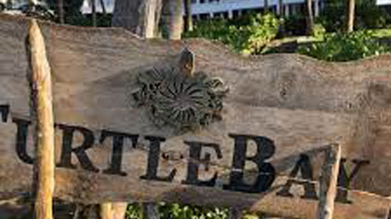 Turtle Bay, Kalamatiya 