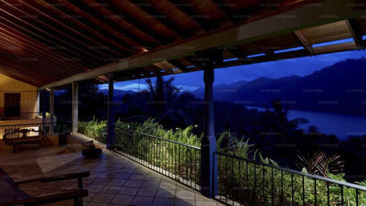 Bambusvilla, Kandy 