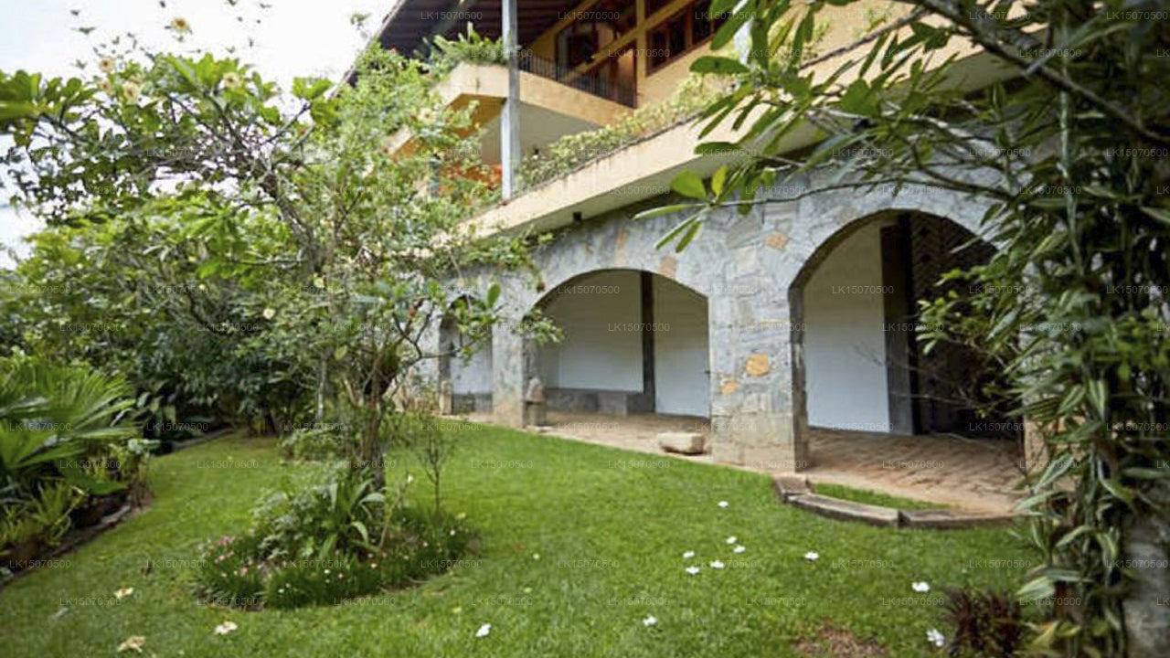 Bambusvilla, Kandy 