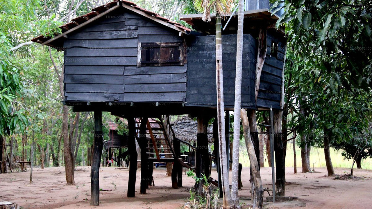Eagle's Wings Gästehaus, Habarana
