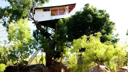 Tamarind Shade Ferienbungalow, Yala