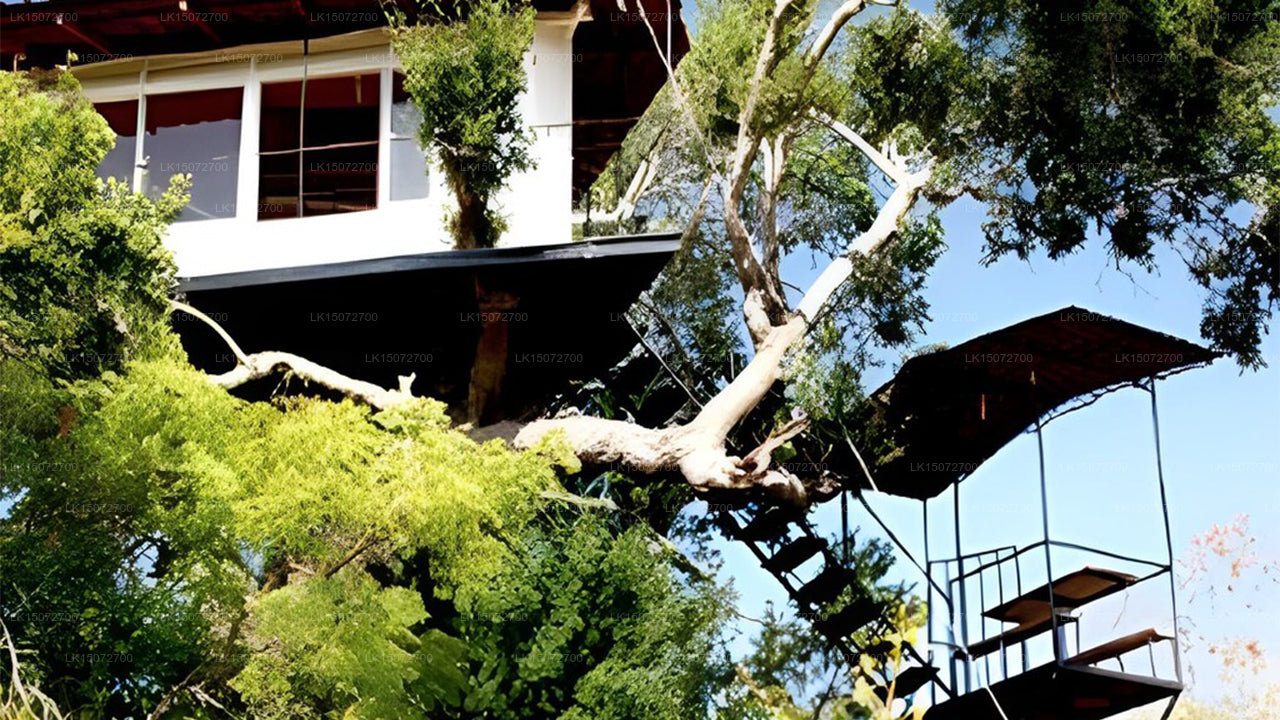 Tamarind Shade Ferienbungalow, Yala