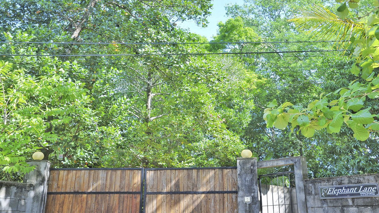 Elephant Lane Ferienresort, Udawalawe 