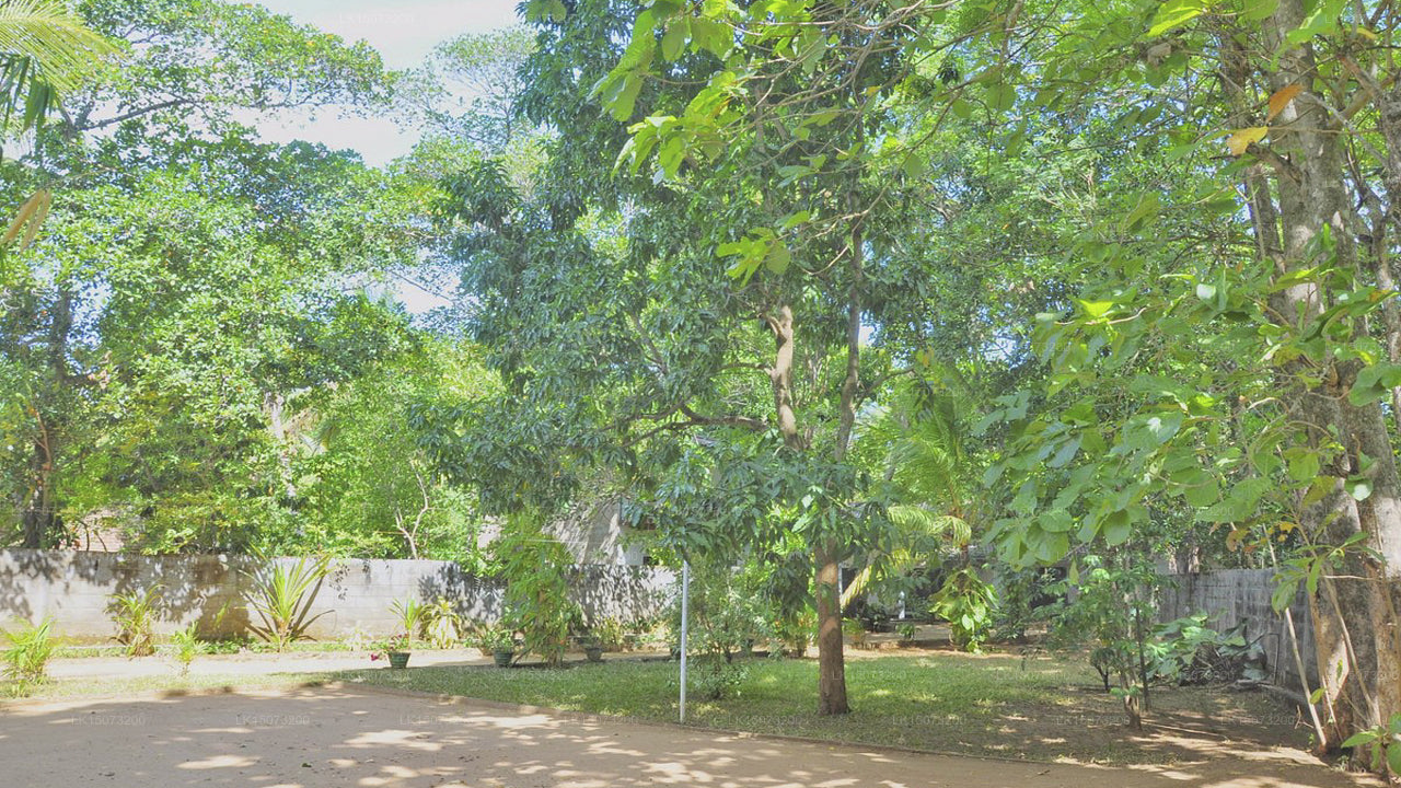 Elephant Lane Ferienresort, Udawalawe 