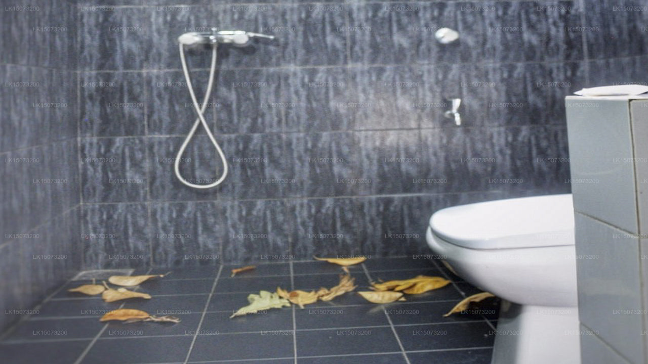 Elephant Lane Ferienresort, Udawalawe 