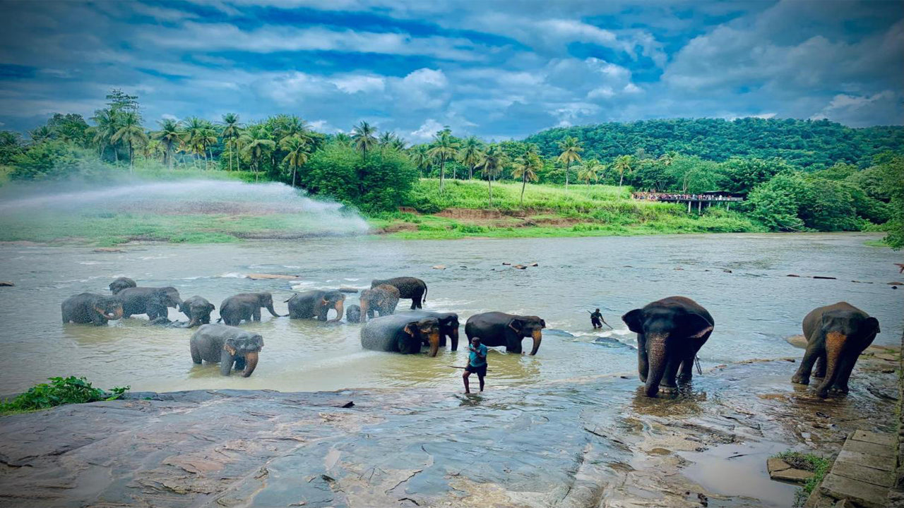 Gouverneursloge, Pinnawala 