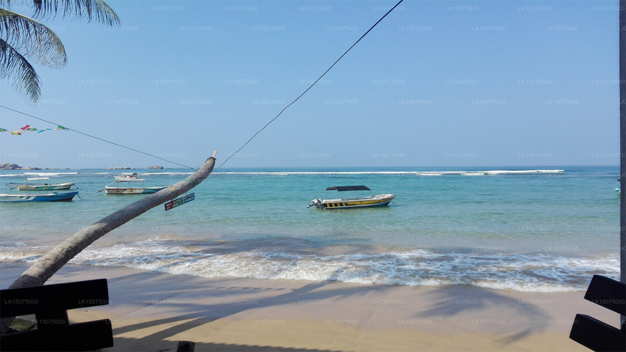 Coral Reef Beach Hotel, Hikkaduwa 