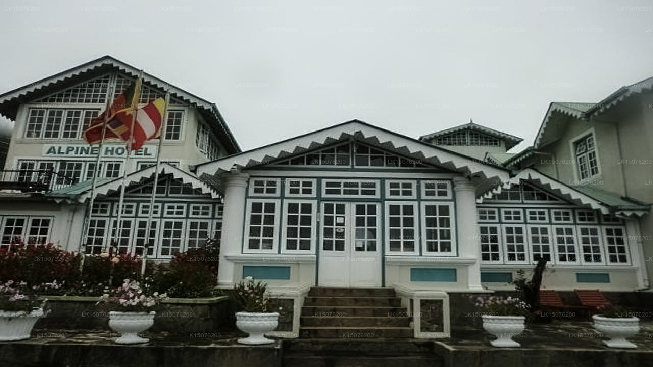 Alpine Hotel, Nuwara Eliya 