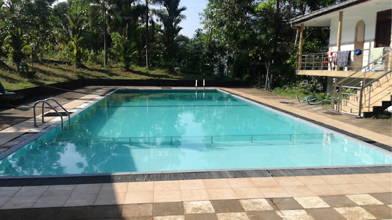 Kitulgala Ferienresort, Kitulgala