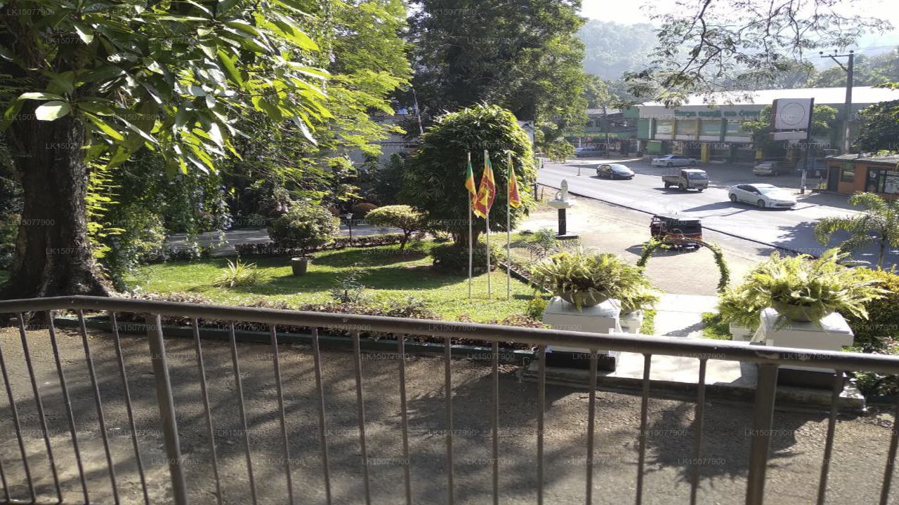 Erbe Ambepussa, Ambepussa