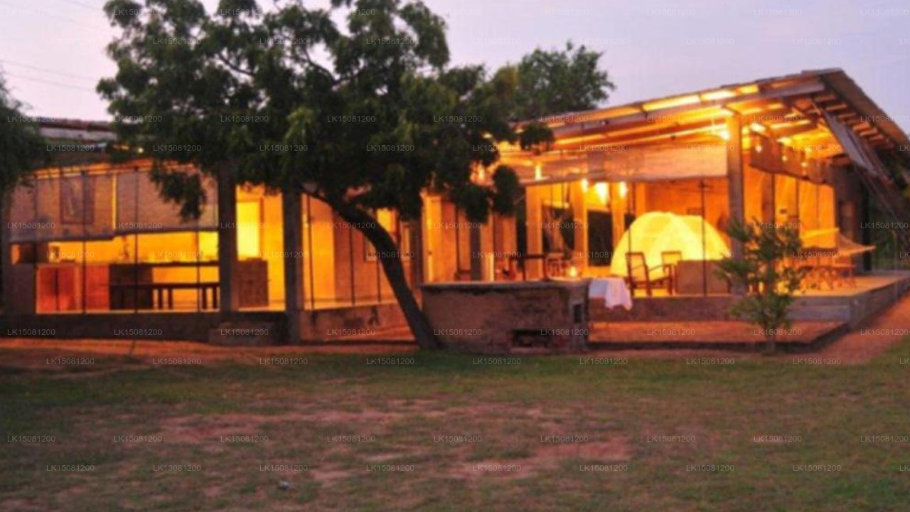 Panthera Lodge, Yala 