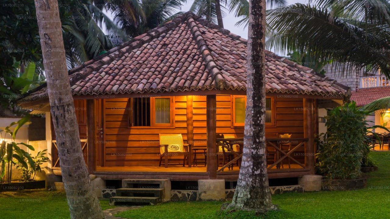 Rockside Cabanas, Unawatuna 