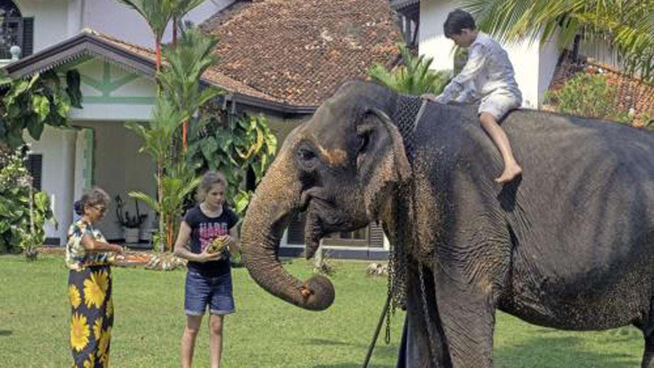 Gin Ganga House, Galle 