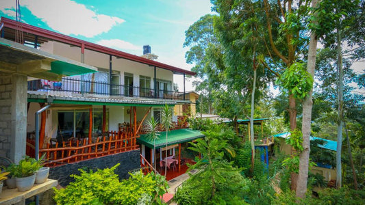 Blick auf den Wasserfall von Ella, Ella