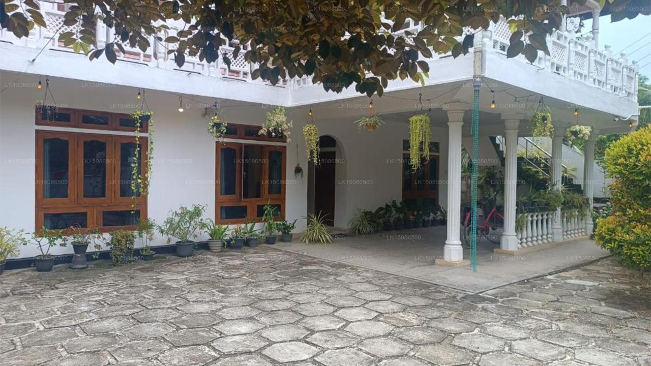 Dschungelhaus, Udawalawe