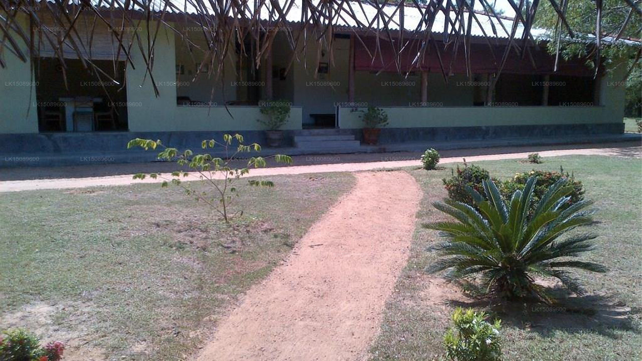 Margosa Ferienbungalow, Yala