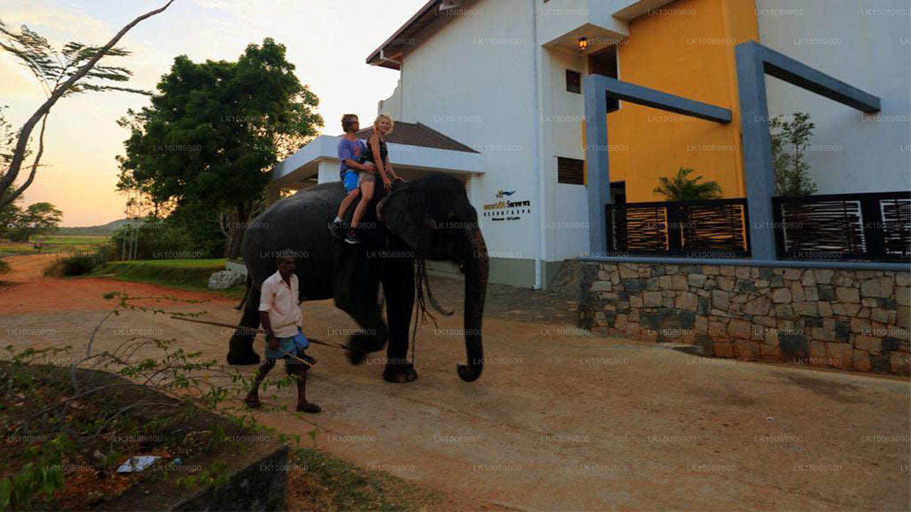 Sorowwa Resort und Spa, Habarana
