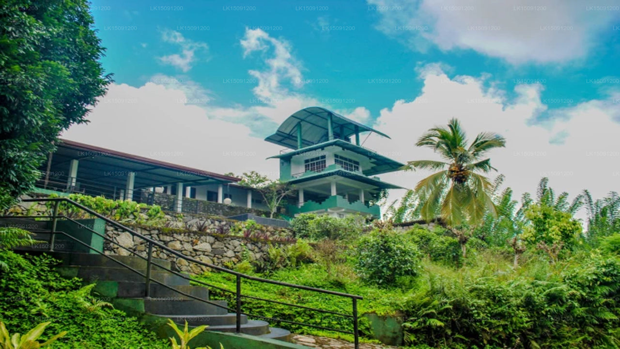 Gilbys Bungalow Sri Lanka, Hikkaduwa 