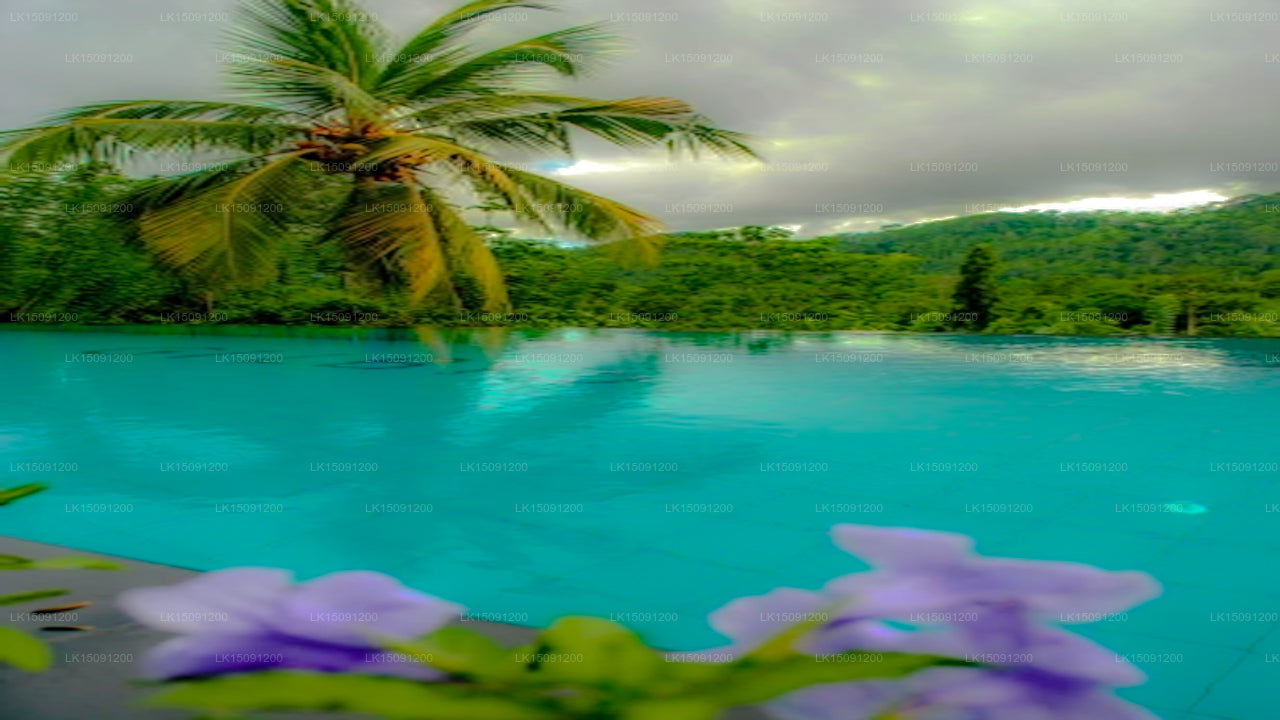 Gilbys Bungalow Sri Lanka, Hikkaduwa 