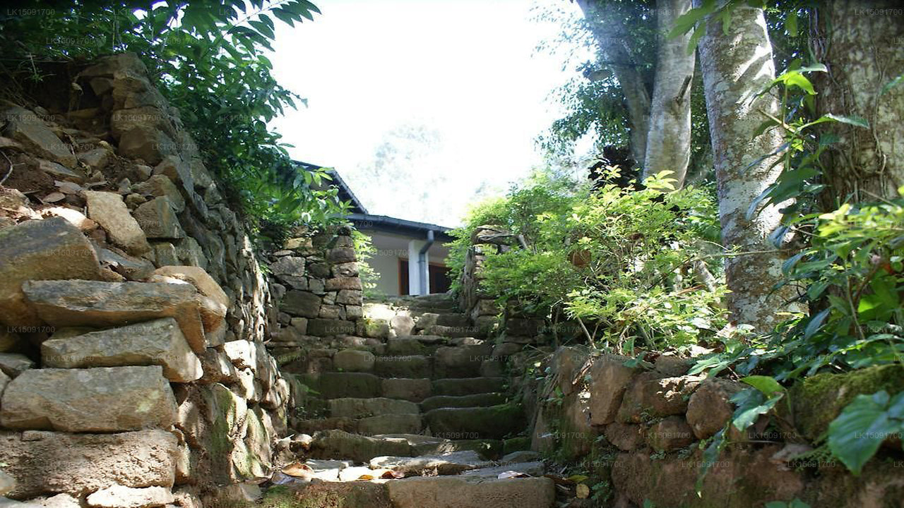 Dell Ferienhaus, Bandarawela