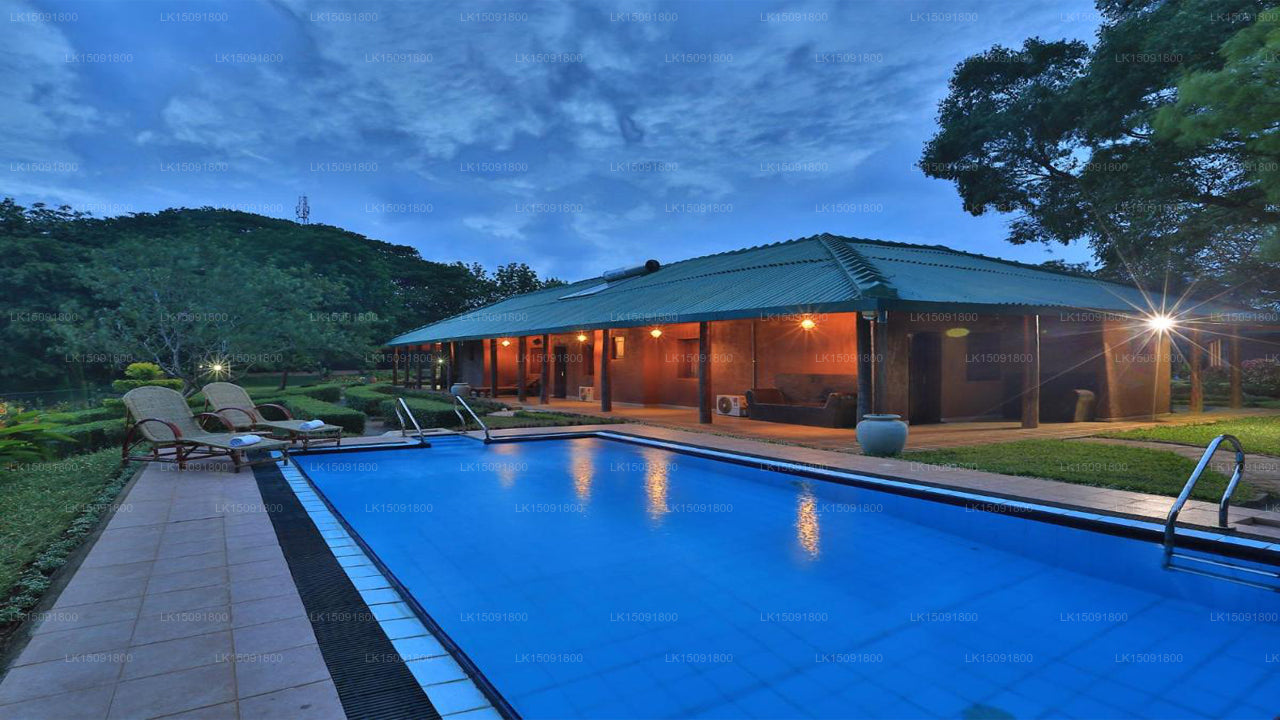 Gangula des Gouverneurs, Dambulla 