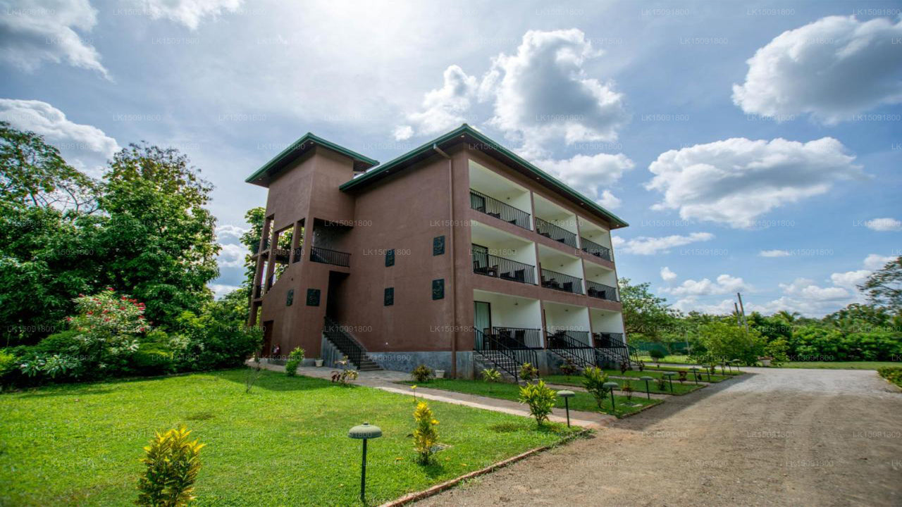 Gangula des Gouverneurs, Dambulla 