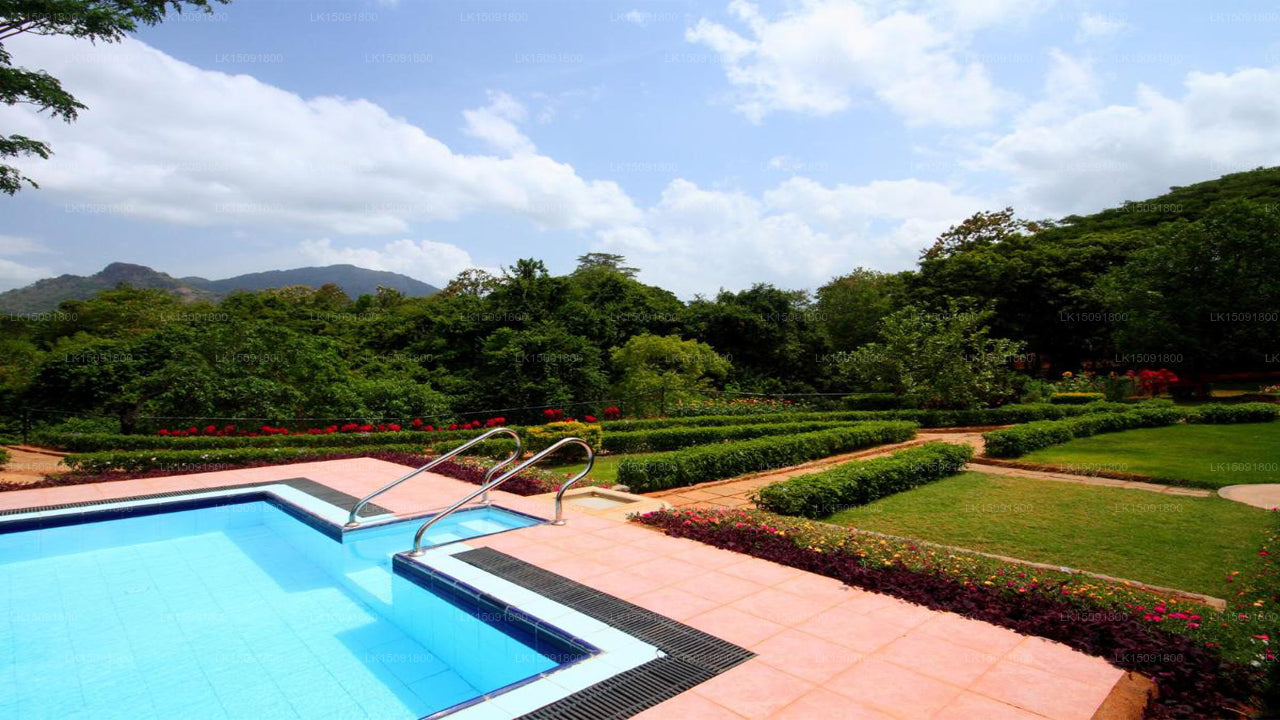 Gangula des Gouverneurs, Dambulla 