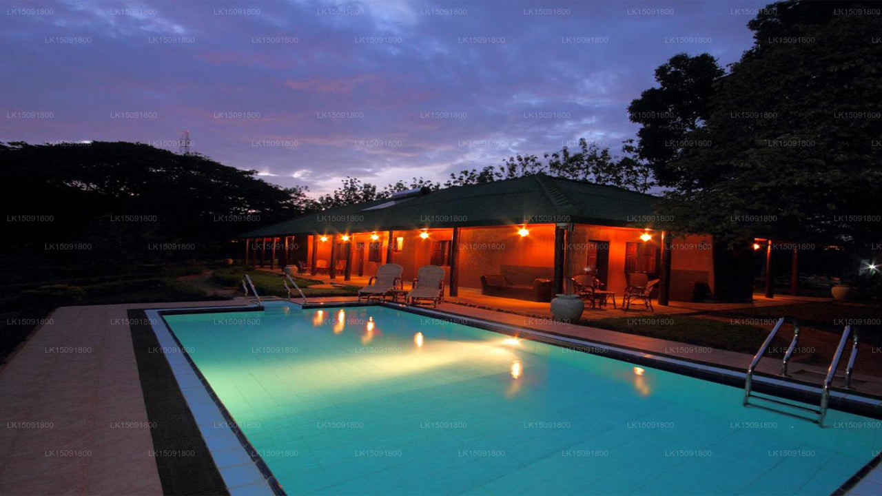 Gangula des Gouverneurs, Dambulla 